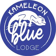 kamelon blue logo